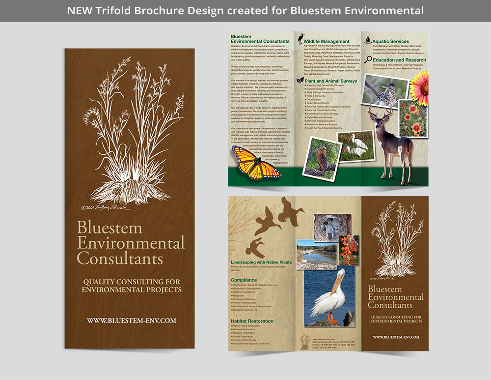 Bluesteam Brochure New Design