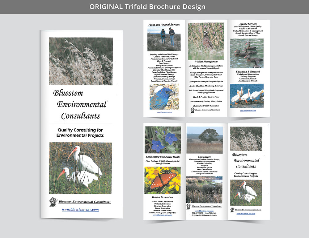 Bluesteam Brochure Original Design