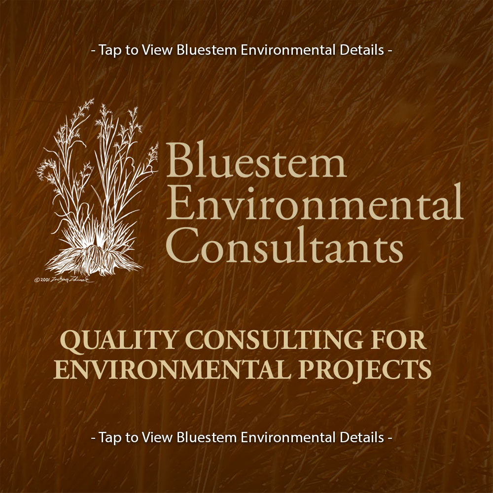 Bluestem Environmental
